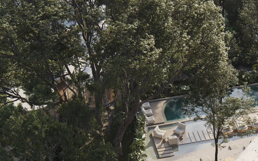 Aerial view of the main pool among the trees