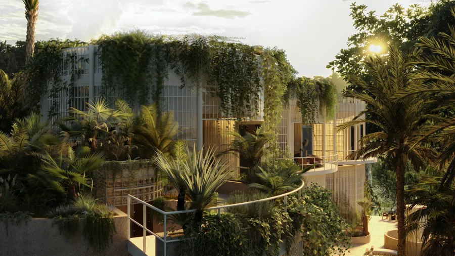 Gardens around the social area