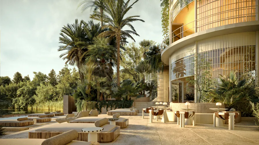 Social area with palm trees and lounge decks